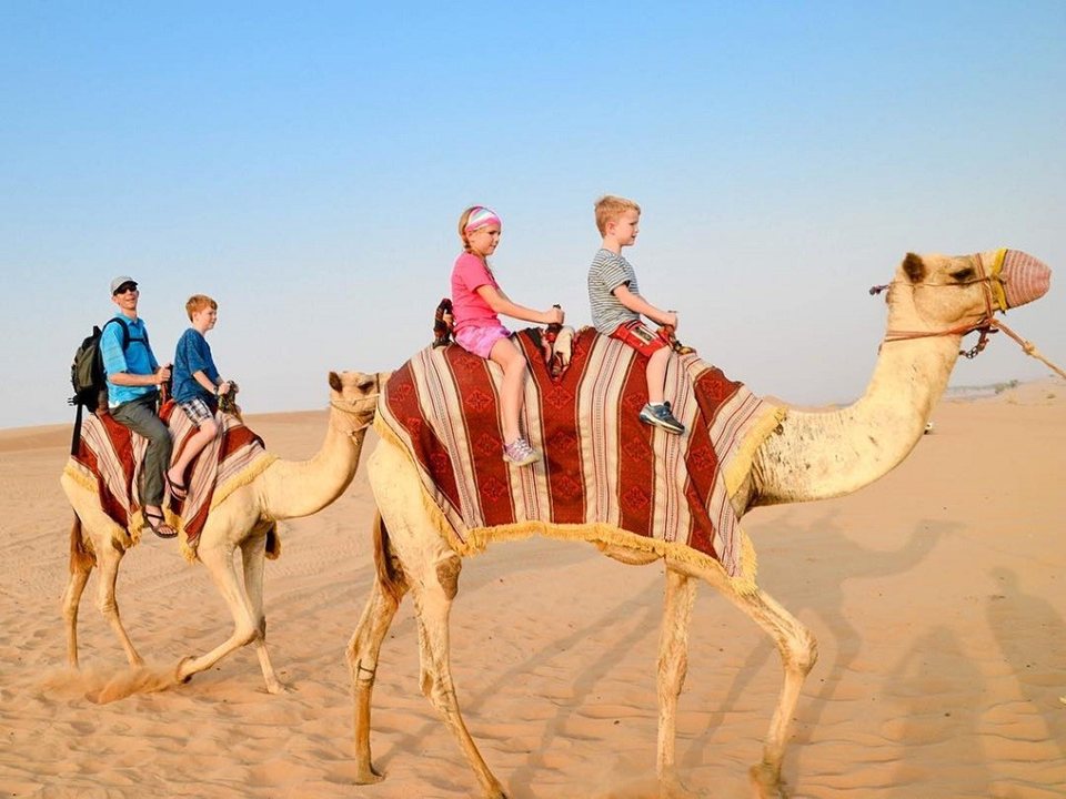 Trải nghiệm sức nóng của sa mạc trên lưng lạc đà
